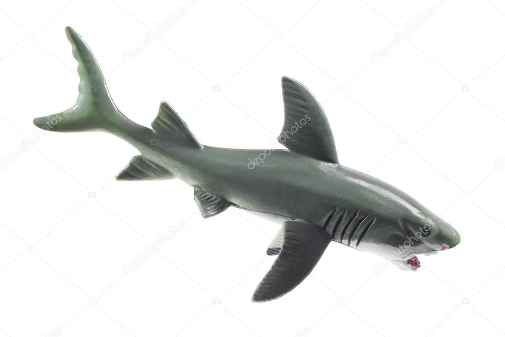 toy rubber shark