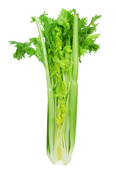 Banda celeru — Stock fotografie