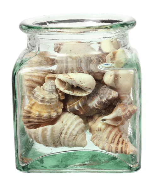 Seashells in Bottle — Stock Photo, Image