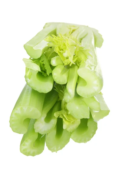 芹菜茎 — 图库照片