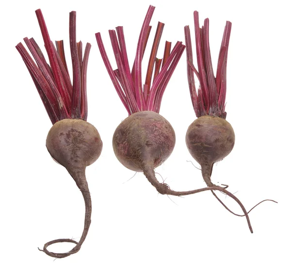 Beetroot — Stock Photo, Image