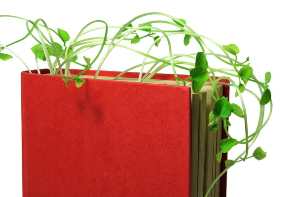 Book and Sprouts — Stock Photo, Image