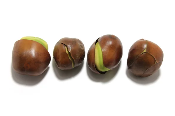 Black Bean Seeds — Stock Photo, Image