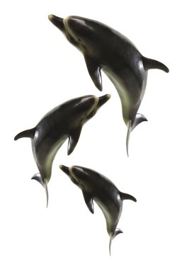 Dolphin Figurines