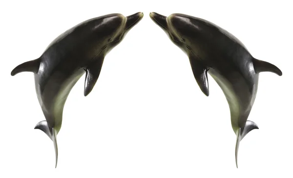 Dolphin Figurines — Stock Photo, Image