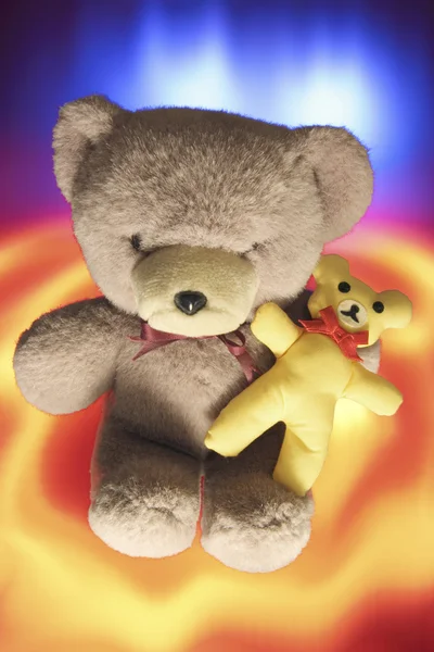 Teddybär — Stockfoto