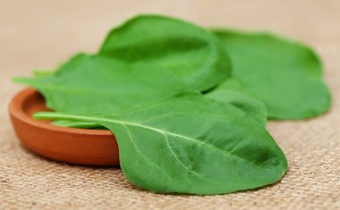 Taze ıspanak yakın çekim