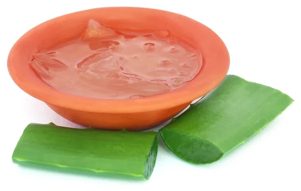 Primo piano di Medicinale aloevera — Foto Stock