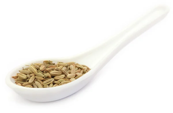 Close up of Fennel seeds — Stock Photo, Image