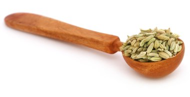 Bir tahta kaşık rezene tohum