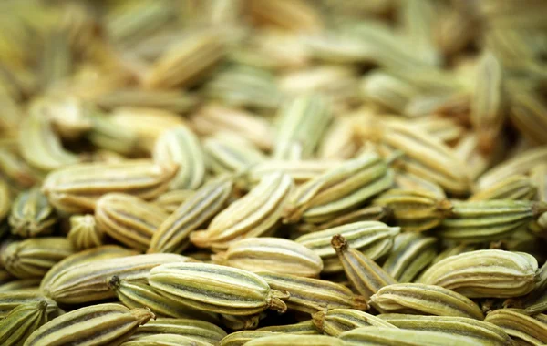 Close up de sementes de erva-doce — Fotografia de Stock