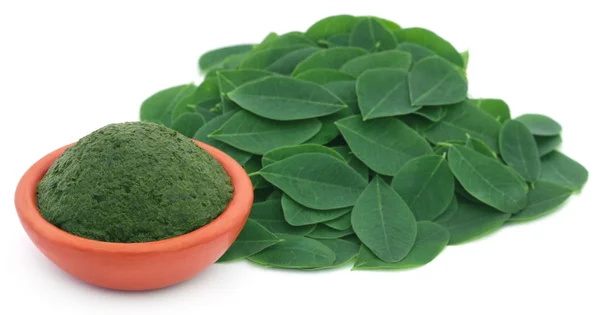 Rozmačkané Moringa listí keramiku — Stock fotografie