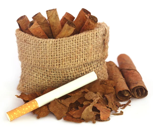 Rolled dry tobacco leaves with cigarette — Stock Photo, Image