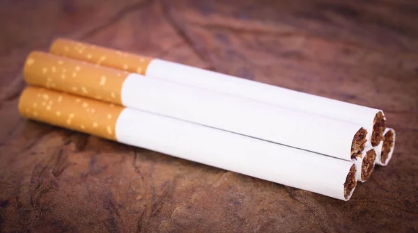 Cigarro filtrante no tabaco seco — Fotografia de Stock