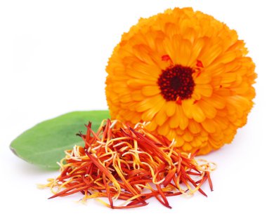Calendula yeşil yaprak closeup