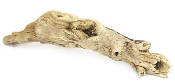 Närbild på Bogwood — Stockfoto