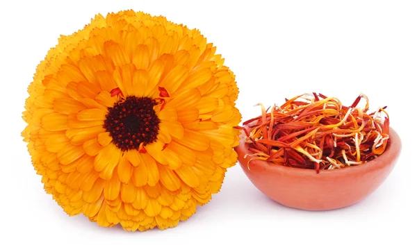 Calendula closeup — Stok fotoğraf