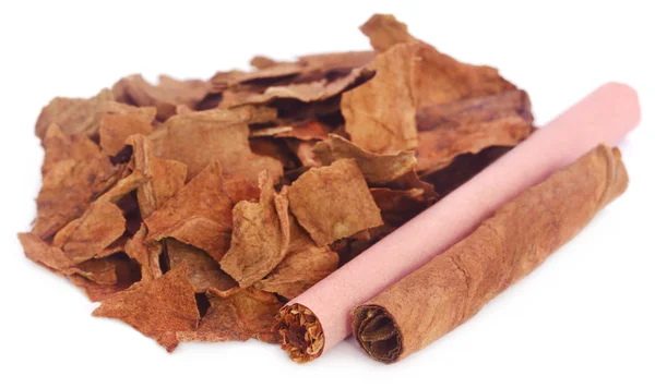 Tabaco em rolos e seco — Fotografia de Stock