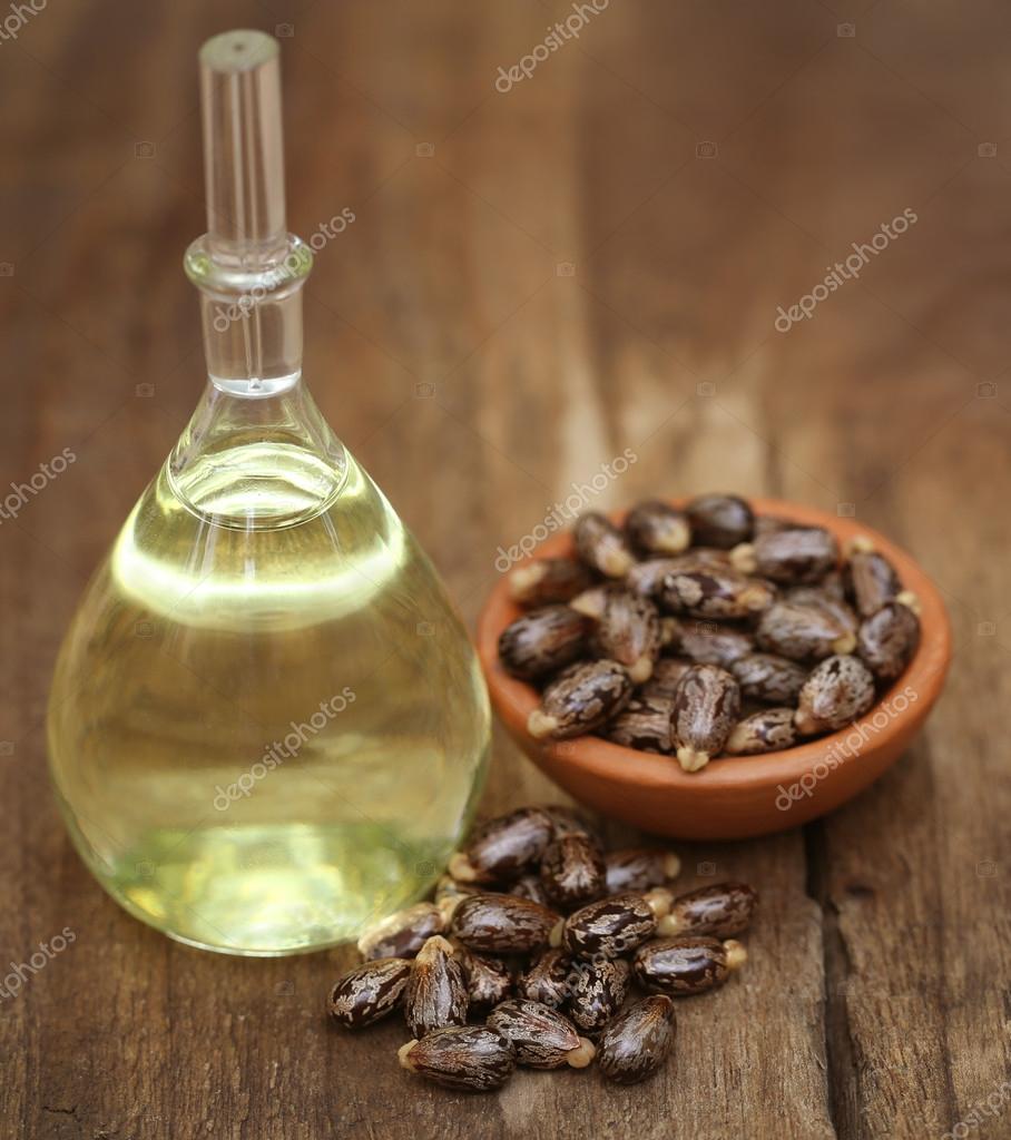 9 608 Castor Stock Photos Images Download Castor Pictures On Depositphotos