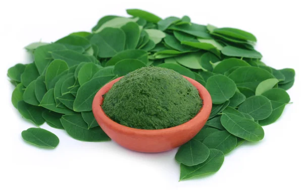 Essbare Moringa-Blätter mit gemahlener Paste — Stockfoto