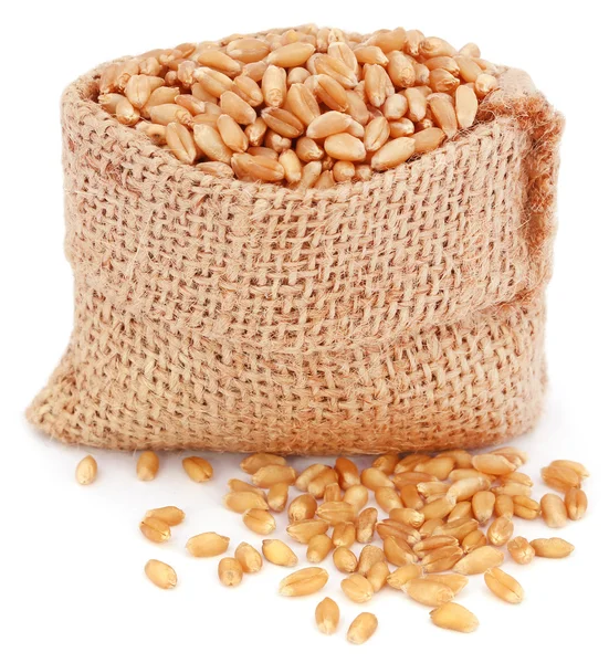Wheat in a sack bag — Stock Photo, Image