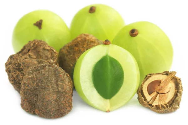 Kuru ve taze amla — Stok fotoğraf