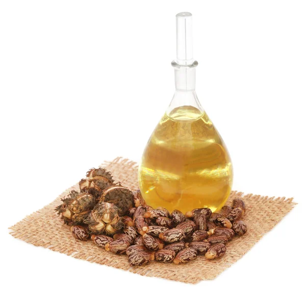 Castor oil with beans — Stock Photo, Image