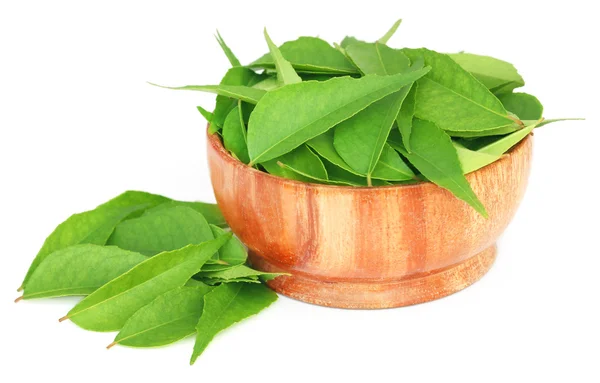 Gros plan sur Curry Leaves — Photo