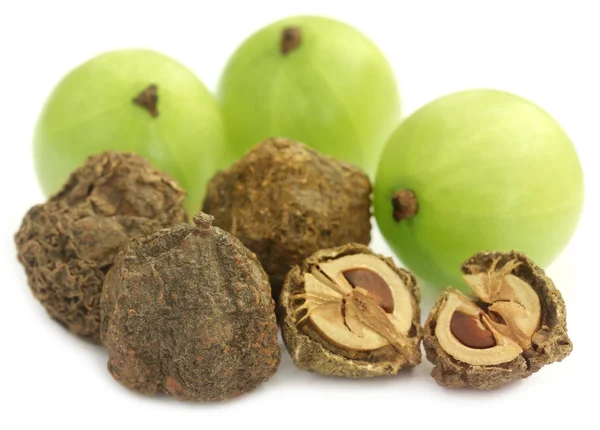 Dry and fresh amla — Stock Photo, Image