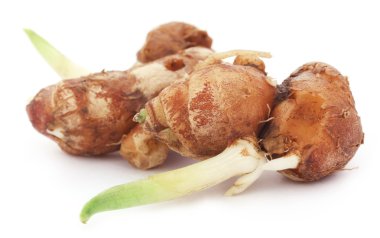 Aromatik zencefil bilinen Kaempferia galanga