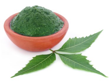 Yere yapıştır ile tıbbi neem yaprağı