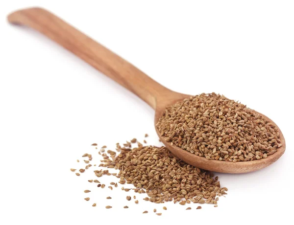 Ajwain semen v dřevěnou lžící — Stock fotografie