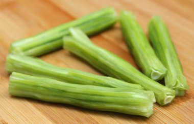 Tıbbi moringa oleifera