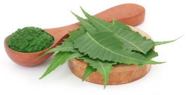 Yere yapıştır ile tıbbi neem yaprağı