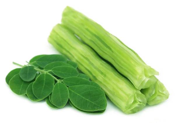 Moringa oleifera commestibile con foglie verdi — Foto Stock