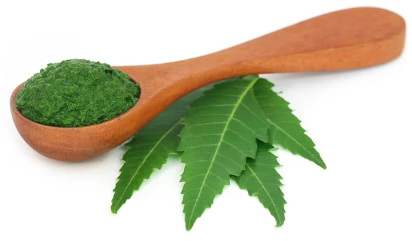 Foglie di neem medicinali con pasta macinata — Foto Stock