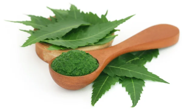 Hojas medicinales de neem con pasta molida — Foto de Stock