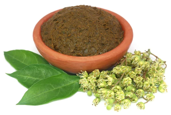 Çiçekler ve yapıştır ile Ayurveda kına bırakır — Stok fotoğraf