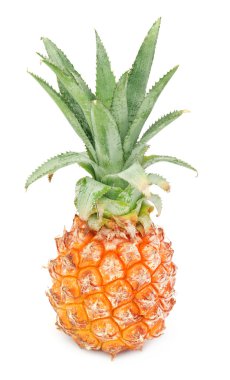 Tüm ananas yakın çekim