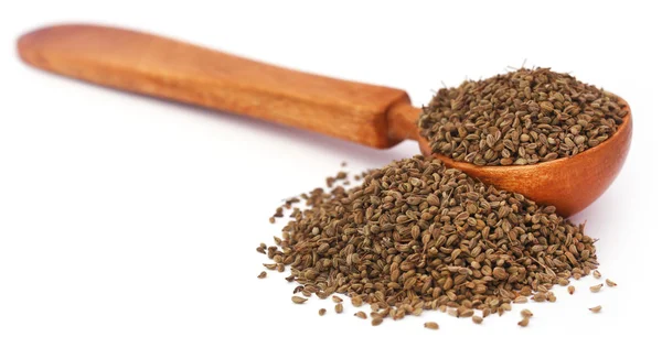 Ajwain seeds in a wooden spoon — Stock Photo, Image