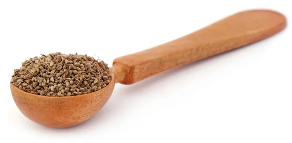 Ajwain 种子在木勺 — 图库照片