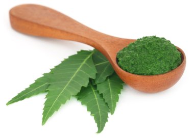 Yere yapıştır ile tıbbi neem yaprağı