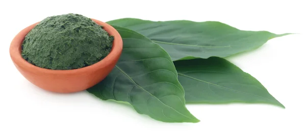 Puré de hojas de vitex Negundo o Medicinal Nishinda — Foto de Stock