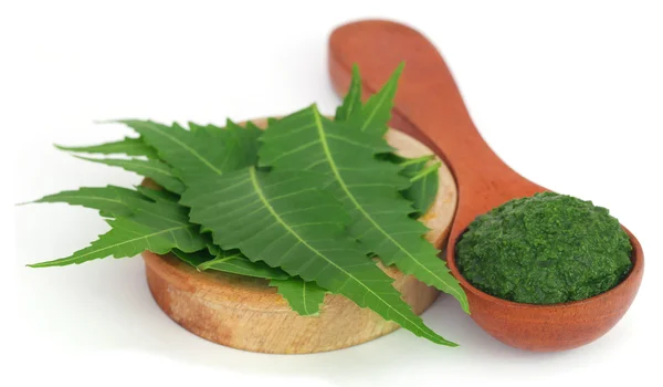 Foglie di neem medicinali con pasta macinata — Foto Stock