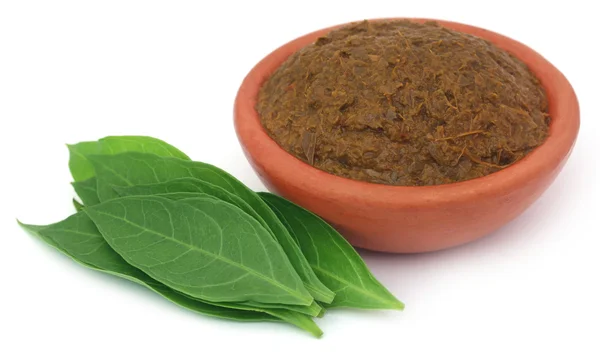 Ayurvedic henna leaves with paste — Stock Photo, Image