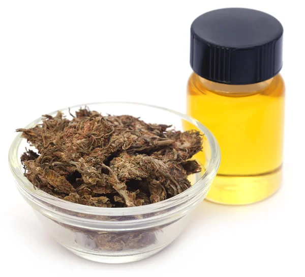 Şişesinde özüt yağ bulunan tıbbi esrar.
