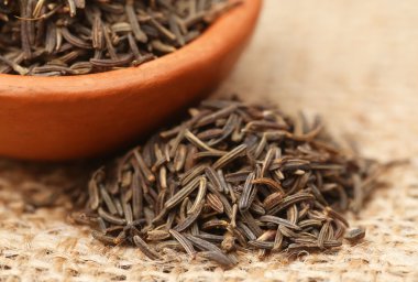 Kimyon tohumları yakın çekim