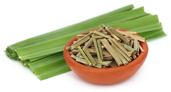 Primer plano de Lemongrass — Foto de Stock