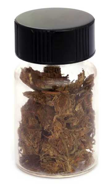 Primer plano del cannabis medicinal — Foto de Stock