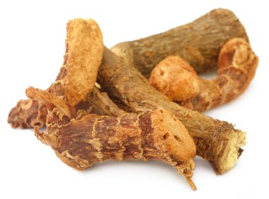 Acorus Hint kamışı veya tıbbi tatlı bayrak